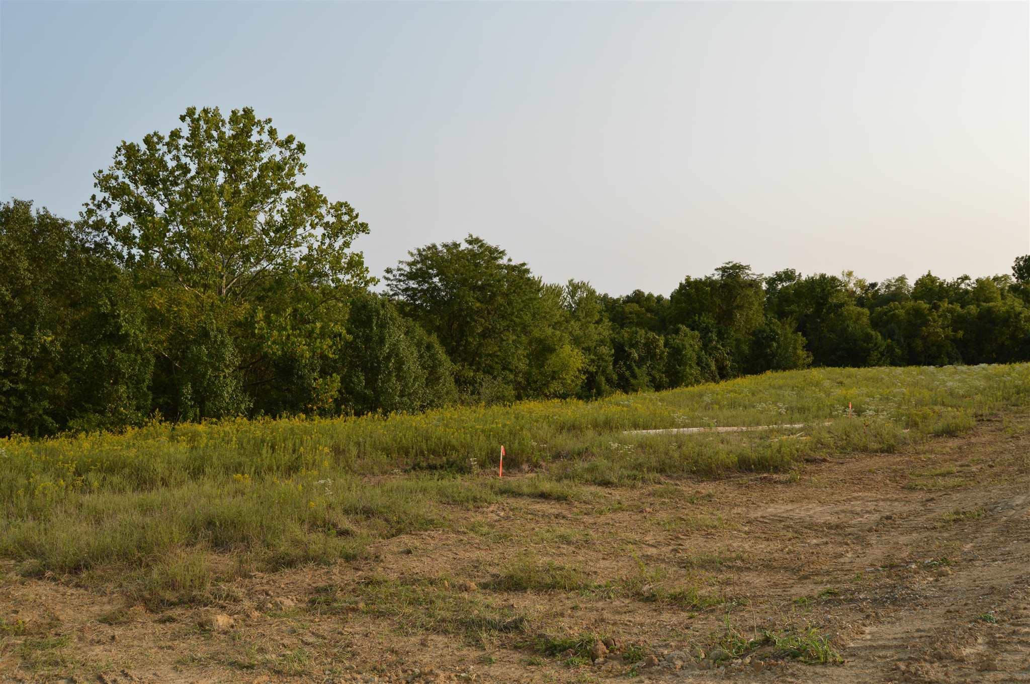 Lot 1 Crown Point, 610664, Crestview Hills, Single Family Residence,  for sale, Hand In Hand Realty